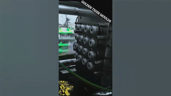 💪 🐅 Golden Tiger Moulds. 💪