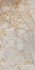 Керамогранит Primavera Golden Grey Polished 60x120