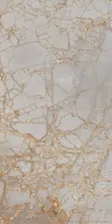 Primavera Polished Golden Grey 60x120