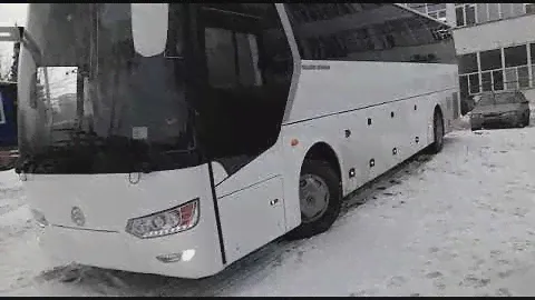 Автобус голден драгон